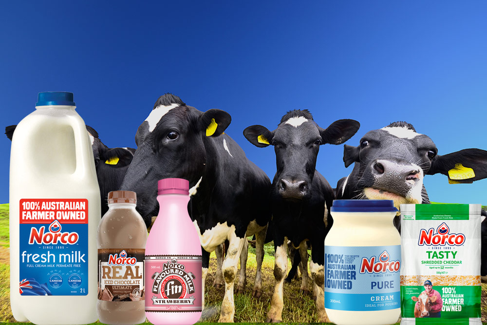 Andrew Hartmann Dairy and Juice Distribution
